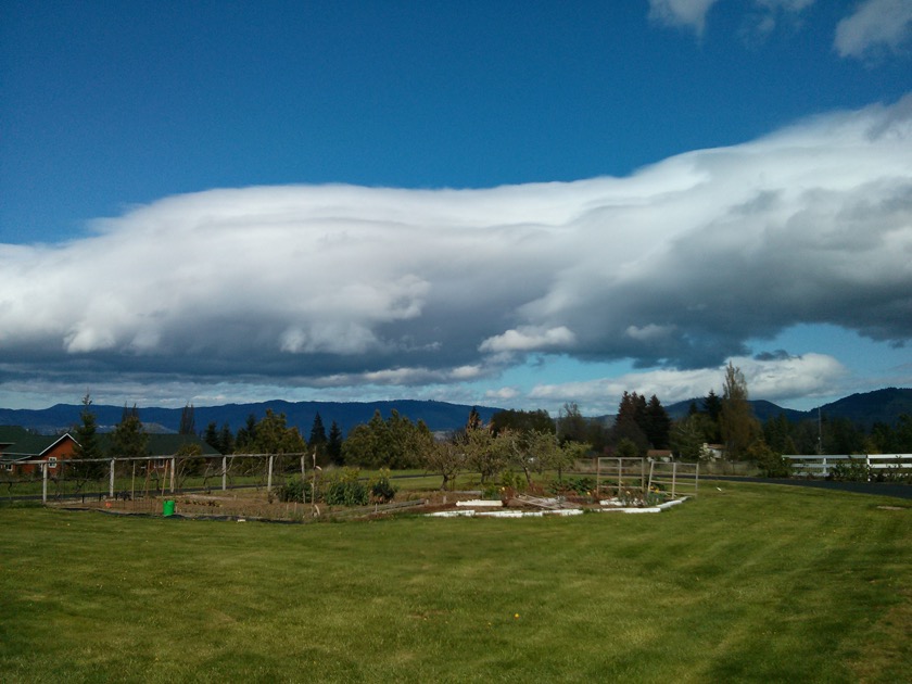 Wedding location to be