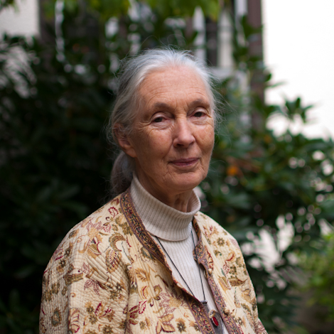 Jane Goodall shortly after her Think Out Loud interview in Salem, Oregon.