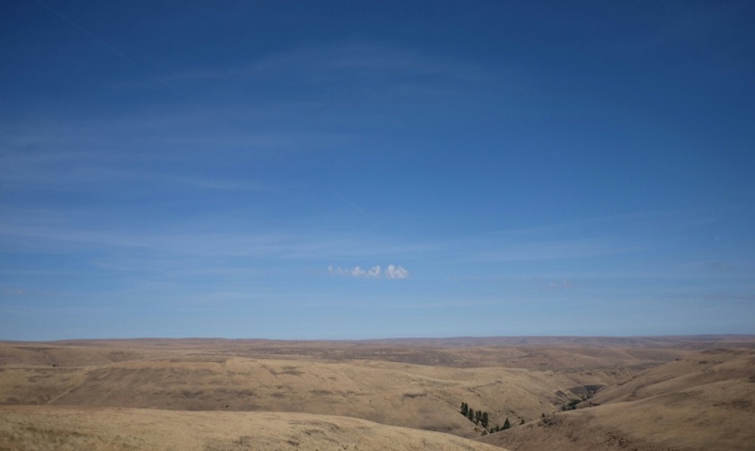wp-1437076268503 Just north of Battle Mountain, the forested peaks of the Blue Mountains give way to the rolling grasslands of the Columbia Basin. What a sight.